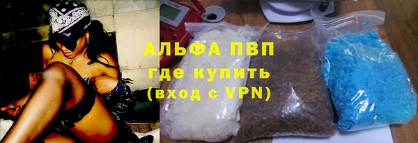 spice Вяземский
