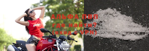 spice Вяземский